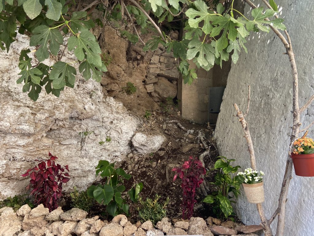 El terreno aledaño al local de la asociación del Castillo de Buñol en su mejor momento.