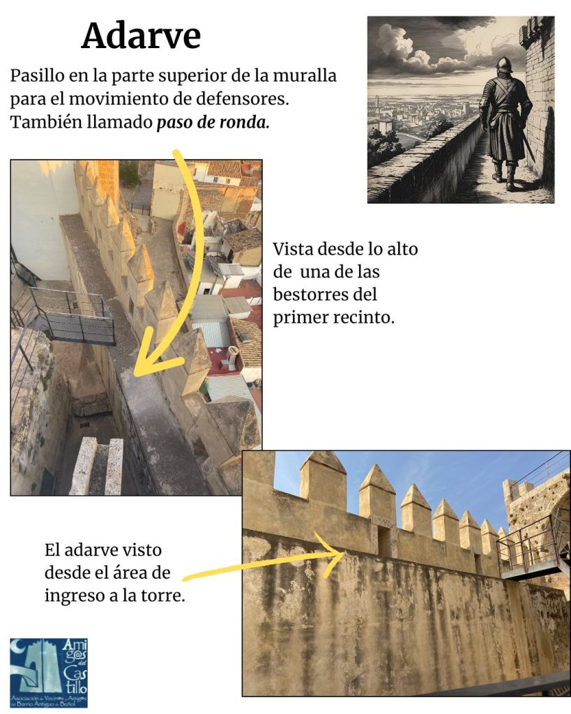 Elementos defensivos castillo: adarve